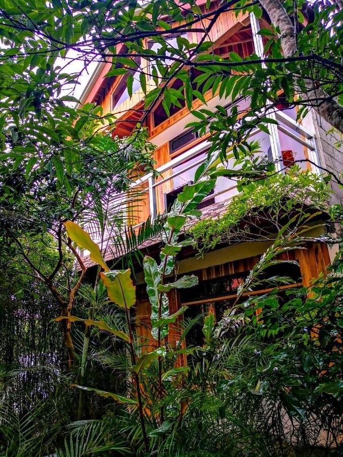 Monteverde Villa Lodge Exterior photo